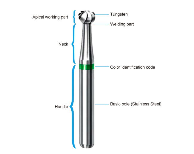 Pürüzsüz Veya Lehçe Kök Kanalı Yüksek Hız #HP için Tungsten Karbür Bursları